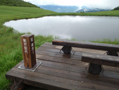 熊沢田代の湿原